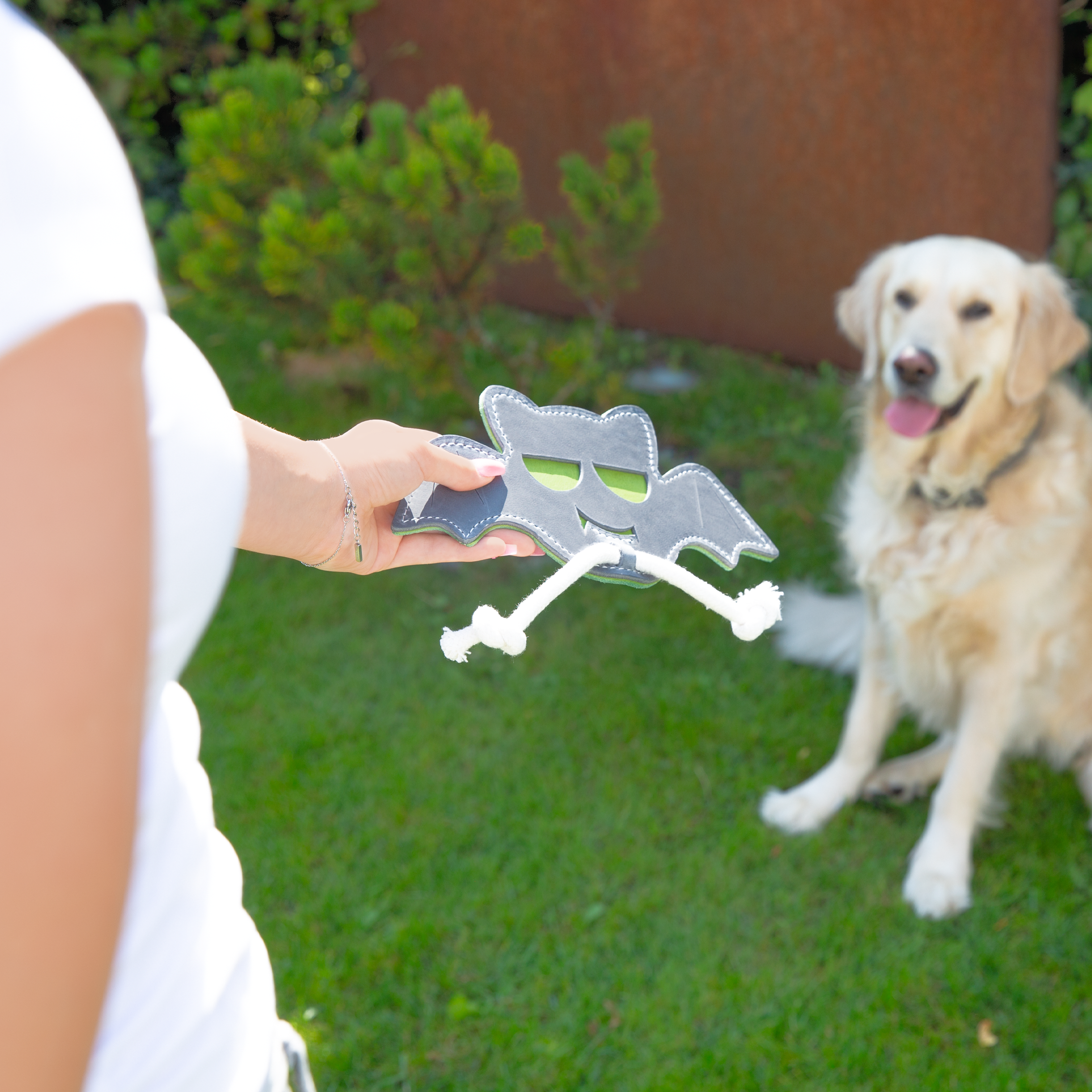 Hundespielzeug Fledermaus Grau